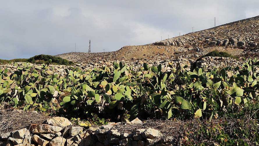 05-amorgos_26a