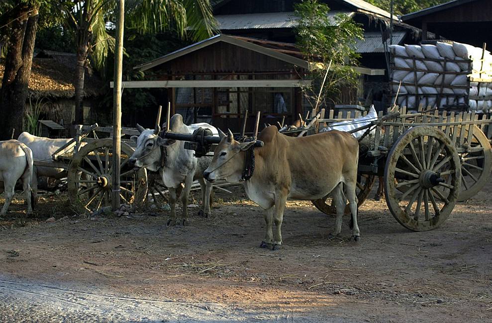 03-burma_09