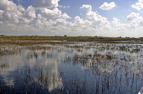 03-Everglades03