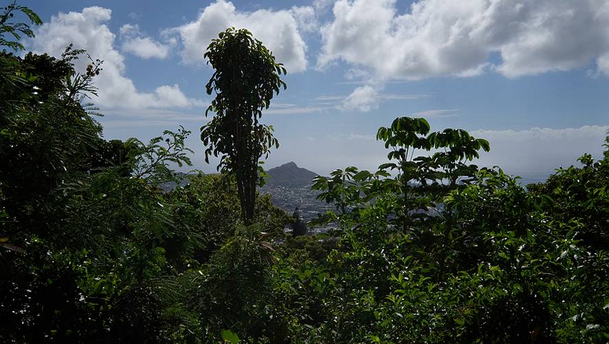 23-tantalus-14