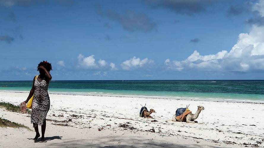 5-diani_06