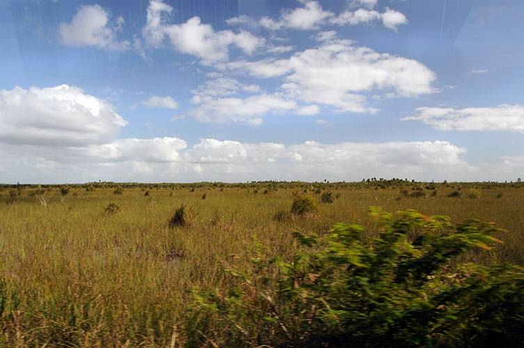 07-Cienaga_02