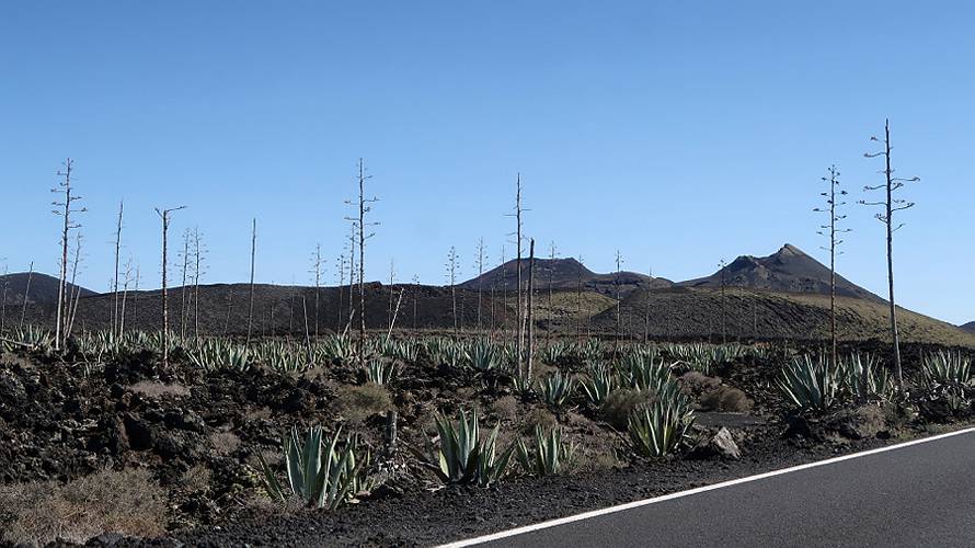 19-lanzarote_02