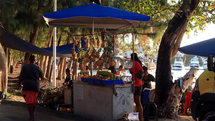 10-mauritius_28
