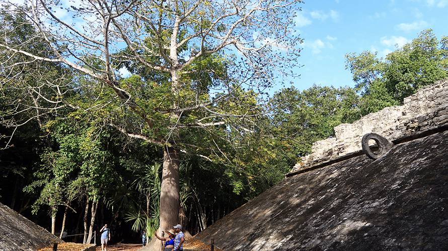 07-coba_21