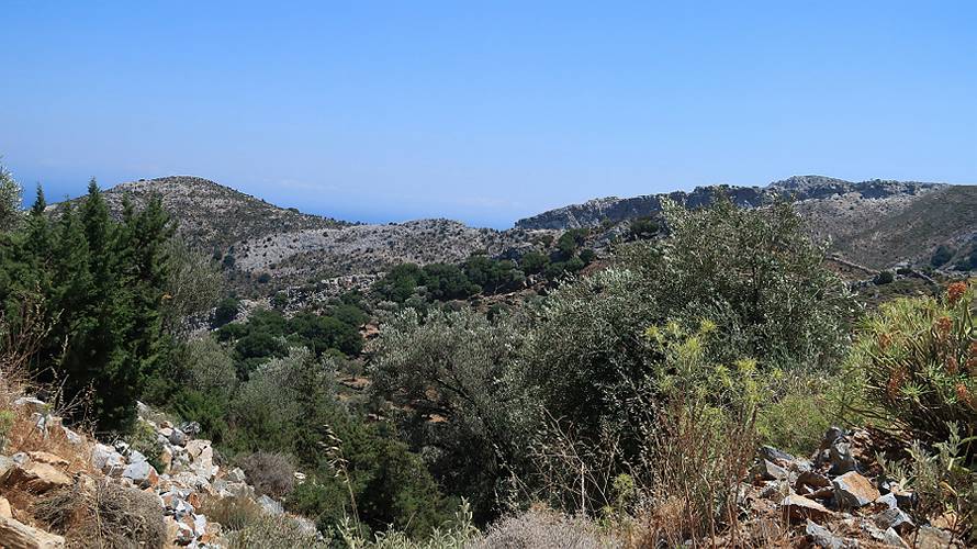 13_naxos_15