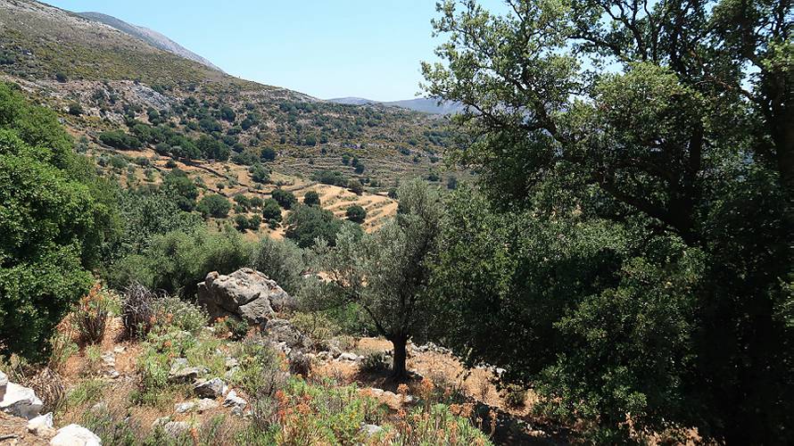 13_naxos_26