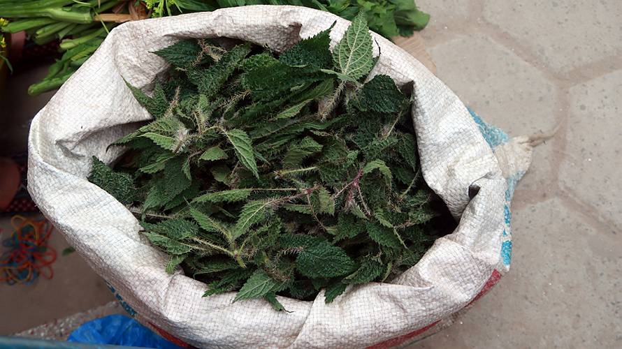 06-kathmandu_40