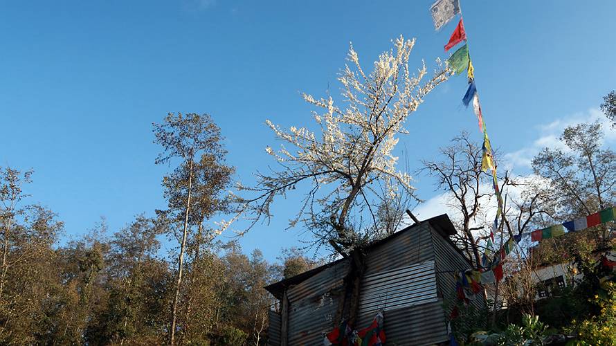 15-dhulikhel_30