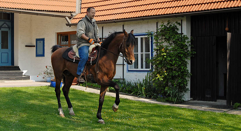 Darik - in Waasen -04/08