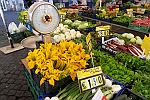 Markt am Campo de’ Fiori