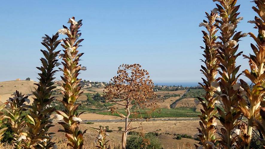 15-agrigent_22