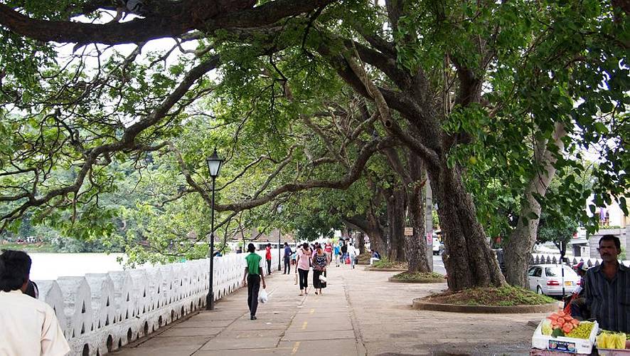 17-kandy_15