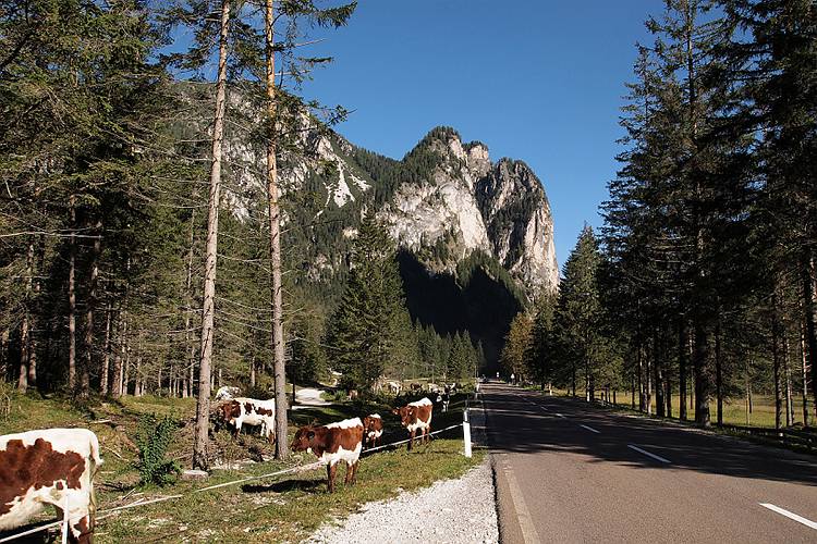 suedtirol_104b
