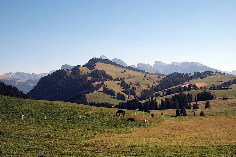 suedtirol_528