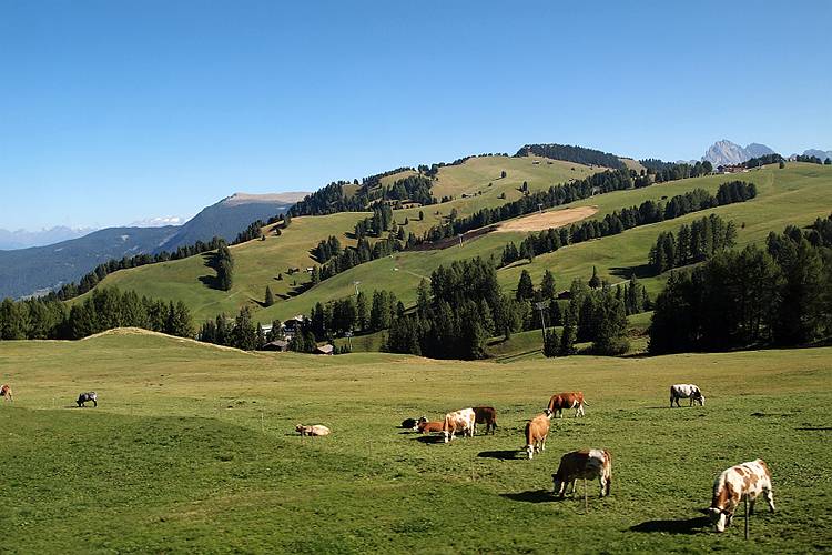 suedtirol_529