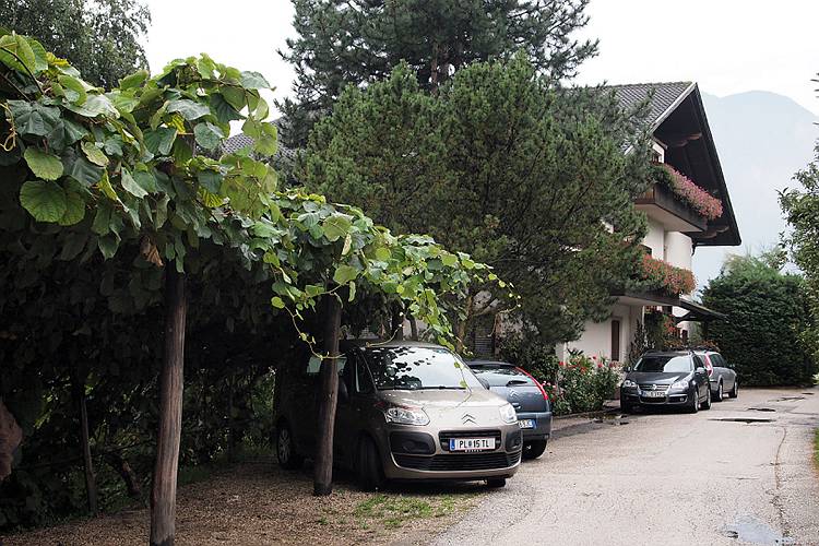 suedtirol_704