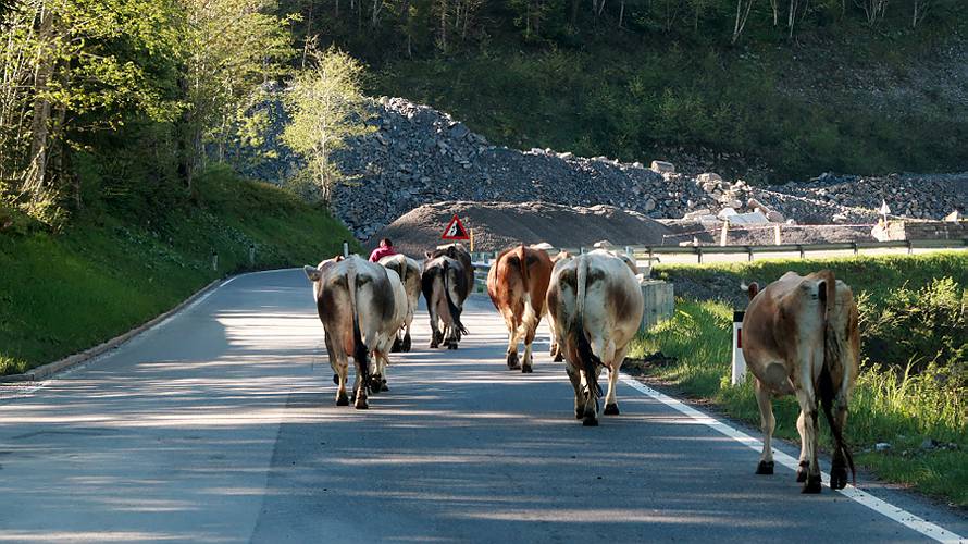 03-walsertal_20