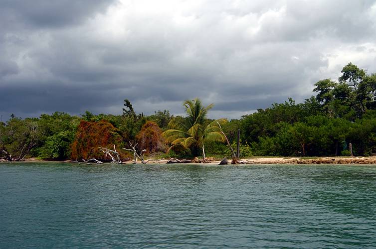 04-tobago_35