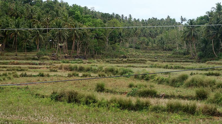 06_bohol_21